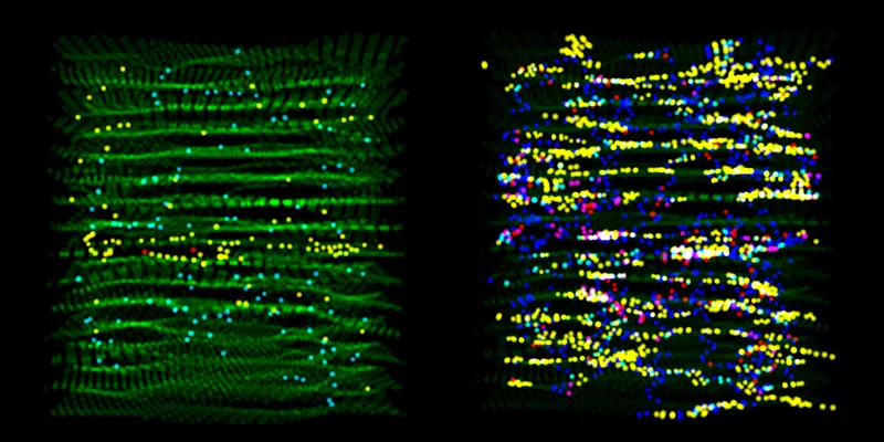 Left, irradiated graphite analyzed with conventional structural descriptors. Right, the new framework developed by the researchers exposes previously hidden variability in the material’s atomic structure. More generally, it clarifies how atomic structure influences physical properties and enables the design of materials with targeted performance.